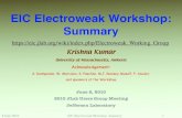 EIC Electroweak Workshop: Summary · 2010. 6. 8. · 8 June 2010 EIC Electroweak Workshop: Summary Physics Topics Studies of the Electroweak Interaction •Charged Lepton Flavor Violation