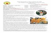 THE MONTHLY BULLETIN OF THE KU-RING-GAI ORCHID SOCIETY … · 2021. 1. 11. · THE MONTHLY BULLETIN OF THE KU-RING-GAI ORCHID SOCIETY INC. (Established in 1947) A.B.N. 92 531 295