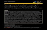 RESEARCH Open Access Transcriptional and functional ... · RESEARCH Open Access Transcriptional and functional complexity of ... of Shank3 mutant mice with deletions of different