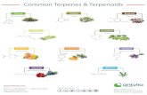 Common Terpenes and Terpenoids - SPEX CertiPrep...Common Terpenes & Terpenoids Pinene (Pines & Conifers) Nerol (Lemon Grass) OH Limonene (Citrus Fruits) Geraniol (Roses & Wine Grapes)