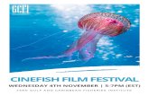 CINEFISH Film Festival 2020understand weather patterns and to navigate. This film documents the secret lives of seabirds and touches on the unique relationship between fisherfolk and