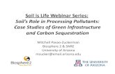 Soil’s Role in Processing Pollutants: Case Studies of ......Microsoft PowerPoint - MPZ-24jan2013 Author: catlow Created Date: 2/21/2013 10:34:25 AM ...