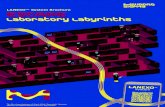 Laboratory Labyrinths - Sigma-Aldrich...easy-to-use LANEXO™ mobile application lets users rapidly, effortlessly and accurately register and archive reagent data — whether restocking