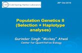 Population Genetics II (Selection + Haplotype analyses)atwallab.cshl.edu/teaching/popgen_lecture2.pdf · 2015. 12. 10. · Population Genetics II (Selection + Haplotype analyses)