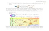 Literature 04‐02‐13 1 - unistra.frsams.ics-cnrs.unistra.fr/uploads/media/pdf_Literature_04...2013/04/02  · Literature 04‐02‐13 6 Biological organisms use intricate networks