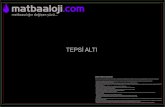 Tepsi alti - Matbaaloji · 2020. 11. 11. · Title: Tepsi_alti.cdr Author: com Created Date: 10/14/2017 12:21:03 PM