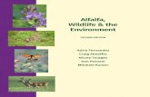 Alfalfa, Wildlife & the Environmentalfalfa’s importance as a crop, and its contributions to broader social goals. In the two decades since the first edition of Alfalfa, Wildlife,