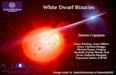 White Dwarf Binaries€¦ · Source: SDSS Stripe 82, Kowalski+ 2009 V S. 35 Flare rates in close stellar binaries Morgan+ 2016. 35 Flare rates in close stellar binaries Morgan+ 2016.