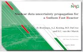Nuclear data uncertainty propagation for a Sodium Fast ...April, 2010 Contents 2 / 14 ① Goals: =) Uncertainties on an SFR parameters ② Concept for uncertainty propagation: =) Total