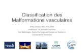 Classification des Malformations vasculairesClassification des Malformations vasculaires Gilles Soulez, MD, MSc, FSIR Professeur Titulaire et Chairman Dpt Radiologie, Radio-Oncologie