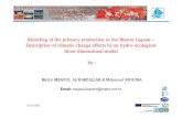 Modeling of the primary production in the Bizerte Lagoon – …doga.ogs.trieste.it/doga/echo/ecem07/Main/30Nov/Bejaoui... · 2007. 12. 12. · 10/12/2007 Presentation of Bizerte