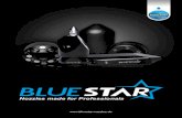 Nozzles made for Professionals - Startseite · 2020. 1. 28. · INTERSEWER's Bluestar sewer cleaning nozzles are manufactured with Optimized 3D Hydro Mechanics. That means, the water