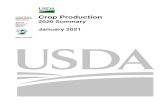United States Crop Production Department of Agriculture...8 Crop Production 2020 Summary (January 2021) USDA, National Agricultural Statistics Service Principal Crops Area Planted