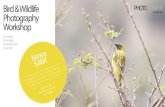 Bird & Wildlife Photography Workshop · 2018. 8. 4. · Bird & Wildlife Photography Workshop Tim Dolby Chris Kiarie Fredrik Broman Ewen Bell 0438 896 228 (03) 9314 8885 ewen@ewenbell.com