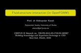 Fluid-structure interaction (in OpenFOAM)dept.uns.ac.rs/wp-content/uploads/2018/04/Fluid... · Fluid-structure interaction (in OpenFOAM) Prof. dr Aleksandar Kara c Polytechnic faculty,