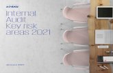 Internal Audit Key Risk Areas 2021 · 2021. 2. 10. · Internal Audit can gain insights into the business’s fraud risks by identifying the effects of recent operation disruptions.