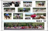 MAY ‘17 - Pony Club Vic...Myzska - Zone Delegate, Dale Thompson – Emergency Cocodinator and our amazing maintenance crew headed by Brian Voigt, supported by Steve Wollington. Without
