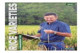 2021 Rice Varieties & Management Tips/media/system/8/1/e/1/...2021 RICE VARIETIES & MANAGEMENT TIPS 3 2021 RICE VARIETIES & MANAGEMENT TIPS This publication handles information likely