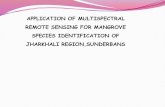 APPLICATION OF MULTISPECTRAL REMOTE SENSING FOR MANGROVE …jkmandal.com/pdf/mangrove_sundarban.pdf · 2018. 11. 14. · of mangrove species was not possible with conventional sensors