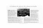 The Public's Library and Digital Archive Cultura do Adorno da... · 2015. 12. 30. · Aquela arte na roc-ha pré—histórica demonstram vários adornos de cabeça desde 0 símb010