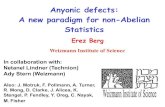 Anyonic defects: A new paradigm for non-Abelian Statistics...2015/08/03  · Anyonic defects: A new paradigm for non-Abelian Statistics Weizmann Institute of Science In collaboration