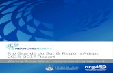 Rio Grande do Sul & RegionsAdapt 2016-2017 Report...Marcela Nectoux – Environmental Engineer at Southern Marine Weather Services Cátia Valente – Meteorologist at Southern Marine