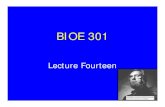 BIOE 301 - Rice Universitybioe301/kortum/class/students/slides... · 2010. 8. 23. · Normal value is 60-90 bpm at rest Stroke Volume (SV) Amount of blood pumped by ventricle with