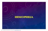 Hemophiliaun.uobasrah.edu.iq/lectures/2611.pdfHEMOPHILIA A • A reduction of factor VIII • The most common congenital disorder of coagulation.• Factor VIII is synthesized by: