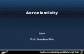 Aeroelasticity · 2018. 5. 24. · Aeroelasticity 2014 Prof. SangJoonShin. Active Aeroelasticityand Rotorcraft Lab., Seoul National University ... Analysis. iii) Analytical tools