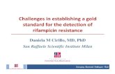 Cirillo - Challenges establishing gold standard...Daniela M Cirillo, MD, PhD San Raffaele Scientific Institute Milan Background: rifamycins are key drugs for today TB treatment •