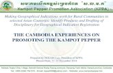THE CAMBODIA EXPERIENCES ON PROMOTING THE KAMPOT … · 2014. 12. 11. · -Pepper has been present in Kampot province since 13th century -The original source of Kampot pepper is in