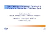 Fine-Grid Simulations of GasGrid Simulations of Gas-Solids Flow … · 2020. 8. 13. · Fine-Grid Simulations of GasGrid Simulations of Gas-Solids Flow in a Circulating Fluidized