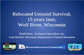Relocated Unionid Survival, 15 years later, Wolf River, Wisconsin · 2015. 7. 14. · High Quality Unionid Communities. 2010 Wolf River Relocation/Monitoring • 1995 STH 29 Relocation