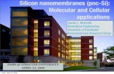 Molecular and Cellular applicationsewh.ieee.org/r1/syracuse/EMBSWeb/Archives/Events/... · 2009. 5. 25. · Silicon nanomembranes (pnc-Si): Molecular and Cellular applications James
