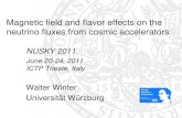 Magnetic field and flavor effects on the neutrino fluxes from ...users.ictp.it/~smr2246/thursday/winter-NUSKY.pdfMagnetic field and flavor effects on the neutrino fluxes from cosmic