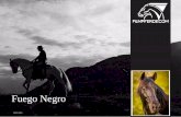 Fuego Negro - filmpferdeva.filmpferde.com/wp-content/uploads/2020/04/FuegoNegro.pdfg g g g, : 5 ;/, ,