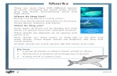 Where do they live? · 2020. 4. 23. · Species of shark include great white shark, grey reef shark, hammerhead shark, tiger shark, blue shark, bull shark and mako shark. (Accept
