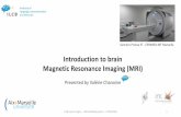 Introduction to brain Magnetic Resonance Imaging (MRI) · 2020. 6. 3. · ILCB cours en ligne - IRM cérébrale partie 1 - 27/04/2020 1 Introduction to brain Magnetic Resonance Imaging