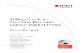 Skilling the Bay - Geelong Regional Labour Market Profile Final … · 2019. 2. 10. · General considerations ... 10.3.5 Multi-level state policies and practices ..... - 222 - -