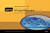 Welcome to National Pupillage Fair - TARGETjobs...LIVE presentations The TARGETjobs National Pupillage Fair hosts a series of talks on careers at the Bar every year and due to popular