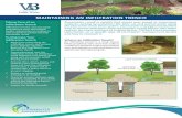 MAINTAINING AN INFILTRATION TRENCH - VBgov.com · 2019. 11. 6. · 9 Sweep pavement near the infiltration trench as needed to ... surfaces, picking up pollutants like litter, oil,