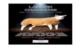 Lanark Crackers Web Cataloge 111220 - Texel€¦ · Lanark Crackers Web Cataloge 111220. /$:5,( 6