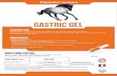 Digestive system - Reverdy...Reverdy Gastric Gel can be used at higher doses in the following situations: › Suspicion of gastric ulcers in stressed horses; › Stressful conditions: