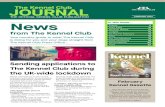 THE OFFICIAL KENNEL CLUB PUBLICATION FEBRUARY ......The Kennel Club Journal THE FFICIAL ENNEL LUB UBLICATION FEBRUARY 2021 > 2 NEWS KC FILE KCAI MEMBERS KCCT KENNEL NAMES FEES EVENTS