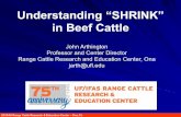 Understanding “SHRINK” in Beef Cattlercrec-ona.ifas.ufl.edu/media/rcrec-onaifasufledu/...Total value, $/head 799 803 811 826 Source: Coffey et al., 1997; Calf value ($1.25/lb);