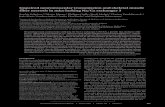 Impaired neuromuscular transmission and skeletal muscle fiber …dm5migu4zj3pb.cloudfront.net/manuscripts/18000/18688/JCI... · 2014. 1. 30. · a NeuroMax 4 device (Xltek , Oakville,