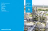Industrial Solutions Company Proﬁle€¦ · Linear Alkyl Benzene plant Organisation 9 We operate as a project-driven company for EPCM Services and LSTK contracts. Our philosophy