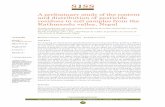 A preliminary study of the content and distribution of pesticide … · 2013. 1. 25. · contaminadas con el fungicida carbendazim y el insecticida chlorpyrifos-methyl en valores