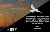 Spatial Analysis of Common Raven Monitoring and Management … · 2020. 4. 24. · • Raven occurrence was greater with presence of transmission lines (Coates et al. 2014) • Ravens