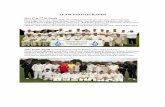 Team Photographs - Keyworthkeyworthcrickethistory.co.uk/files/Team Photographs.pdf1987 KO Cup Final Runners Up, Back row (l to r) Kevin Keep, Tim Wright, Matt Cumberpatch, Murray Stewart,